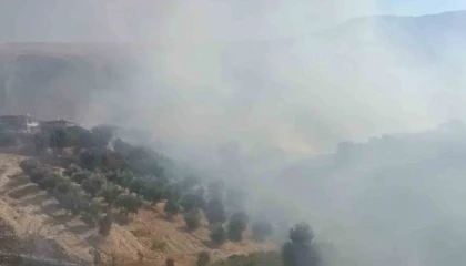 Antalyada evlere yakın bölgede yangın