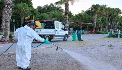 Antalyada haşerelere karşı mücadele çalışmaları mesire alanlarında da sürüyor