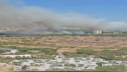 Antalyada orman yangını