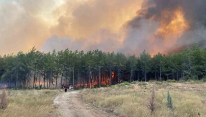 Antalyada orman yangını
