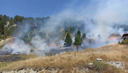 Antalyada orman yangını