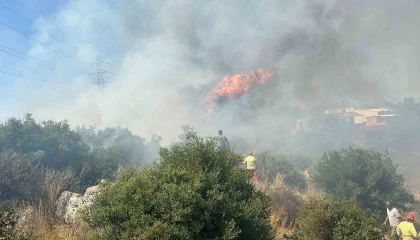 Antalyada yerleşim alanına yakın ağaçlık alanda yangın