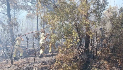 Antalyadaki orman yangınında 2,8 hektarlık alan zarar gördü