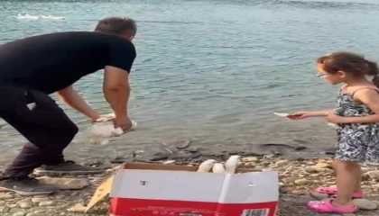 Baba kızdan örnek davranış