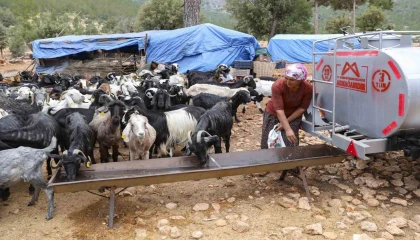 Belediyenin sulama tankeri desteği Mersindeki Yörüklerin yüzünü güldürdü