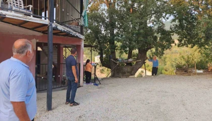 Dallarıyla Allah lafzı yazılı asırlık ağaç ilgi çekiyor