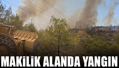 Defnede makilik alanda yangın çıktı