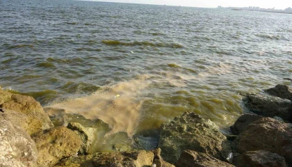 Doğu Akdenizde kirlilik gözle görülür hale geldi