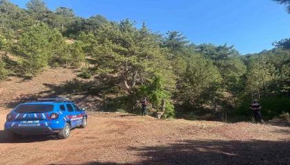 Eğirdirde ormanlık alanlarda sıkı denetim