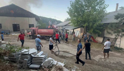 Eğirdirde trafodaki tellere temas eden sincap, 1 depo ile 2 dönümlük araziyi küle çevirdi