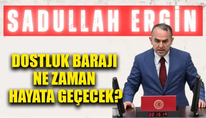 ERGİN: DOSTLUK BARAJI NE ZAMAN HAYATA GEÇECEK?
