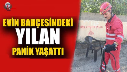 Evin bahçesine giren yılanı itfaiye yakaladı