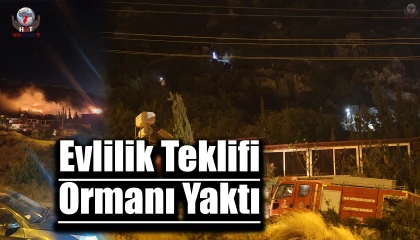 Evlilik teklifinde atılan havai fişekler ağaçlık alanda yangınına sebep oldu