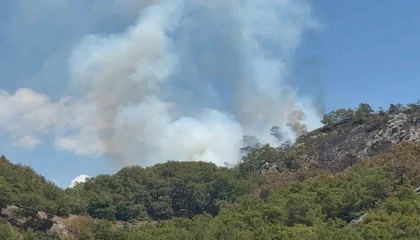 Gazipaşada ormanlık alanda yangın