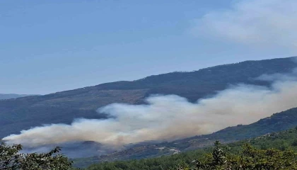 Gazipaşada ormanlık alanda yangın