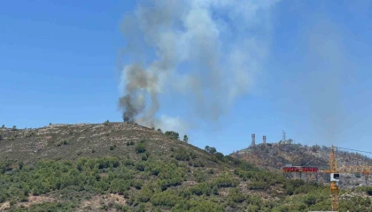 Gazipaşada ormanlık alandaki yangın kontrol altına alındı