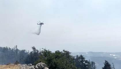 Gazipaşadaki orman yangını 3. gününde kontrol altına alındı
