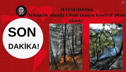 Hassada ormanlık alanda çıkan yangın kontrol altına alındı