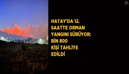 Hatayda 12. saatte orman yangını sürüyor: Bin 800 kişi tahliye edildi