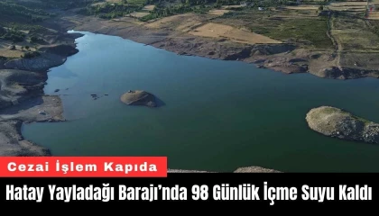 Hatay'da 65 yılın en kurak yılı, Yayladağı'nın 98 günlük suyu kaldı
