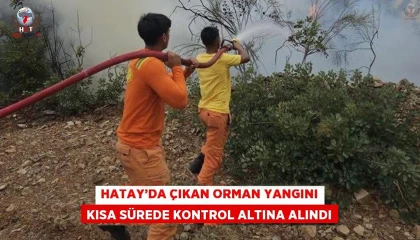 Hatayda çıkan orman yangını kısa sürede kontrol altına alındı
