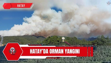 Hatayda orman yangını