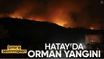 Hatayda orman yangını