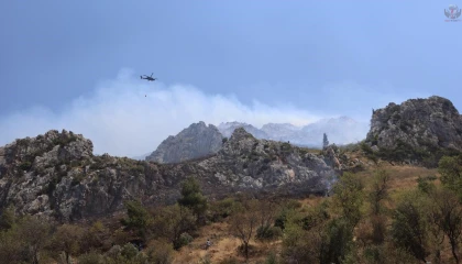 Hatay'da orman yangını
