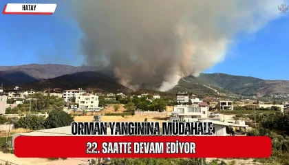 Hatay'da Orman Yangını 22. Saatte Mücadele Devam Ediyor