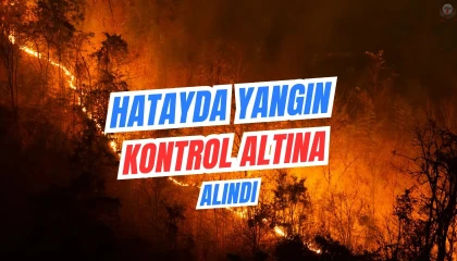 Hatayda orman yangını kısa sürede kontrol altına alındı