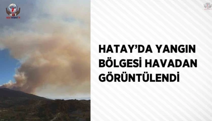 Hatayda orman yangının etkili olduğu bölge havadan görüntülendi