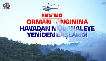 Hatayda orman yangınına havadan müdahale yeniden başladı