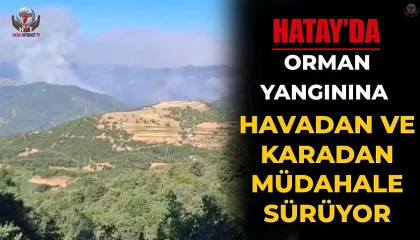 Hatayda orman yangınına havadan ve karadan müdahale sürüyor