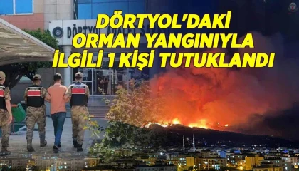 Hatayda orman yangınıyla ilgili 1 kişi tutuklandı