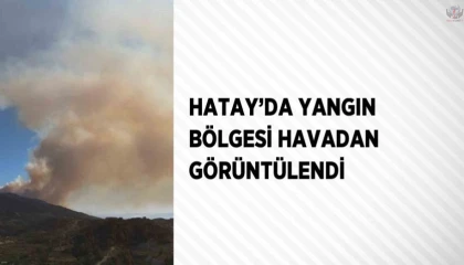 Hatayda yangın bölgesi havadan görüntülendi