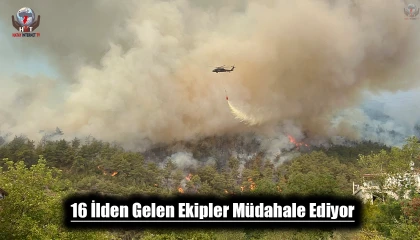 Hatayda yangına 16 ilden gelen ekipler müdahale ediyor
