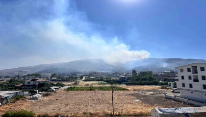 Hataydaki orman yangını 30 saattir devam ediyor