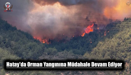 Hataydaki orman yangınına müdahale 24üncü saatte devam ediyor