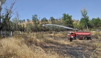 Hobi bahçesinde çıkan yangın 8 dönüm yulaf tarlasını küle çevirdi