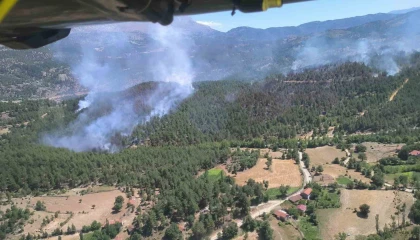 Ispartadaki orman yangınında 20 hektar alan zarar gördü