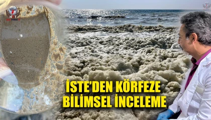 İSTE’DEN KÖRFEZE BİLİMSEL İNCELEME