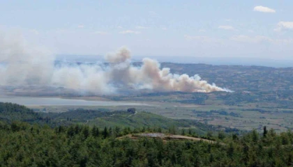 Kahramanmaraşta orman yangını