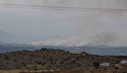 Kahramanmaraşta orman yangını