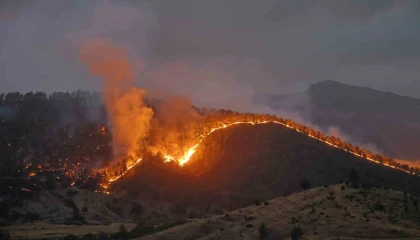Kahramanmaraşta orman yangınına müdahale sürüyor