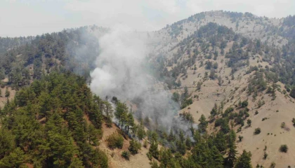 Kahramanmaraşta orman yangınına müdahale sürüyor