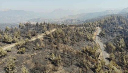 Kahramanmaraşta yangın sonrası küle dönen ormanlık alan dronla görüntülendi