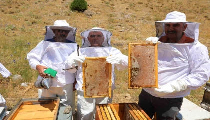 Kahramanmaraştaki Engizek Yaylasında bal mesaisi