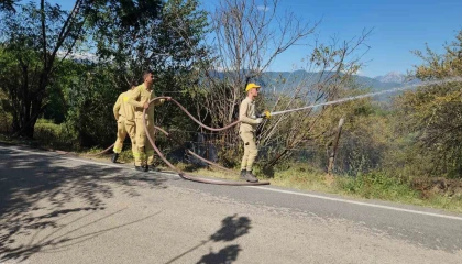 Kahramanmaraştaki orman yangını söndürüldü