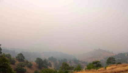 Kahramanmaraştaki orman yangınında 4 ev yandı, 20 ev tahliye edildi