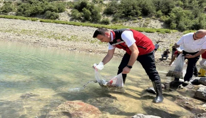Karacaören Göletine ilk kez 10 bin pullu sazan yavrusu bırakıldı